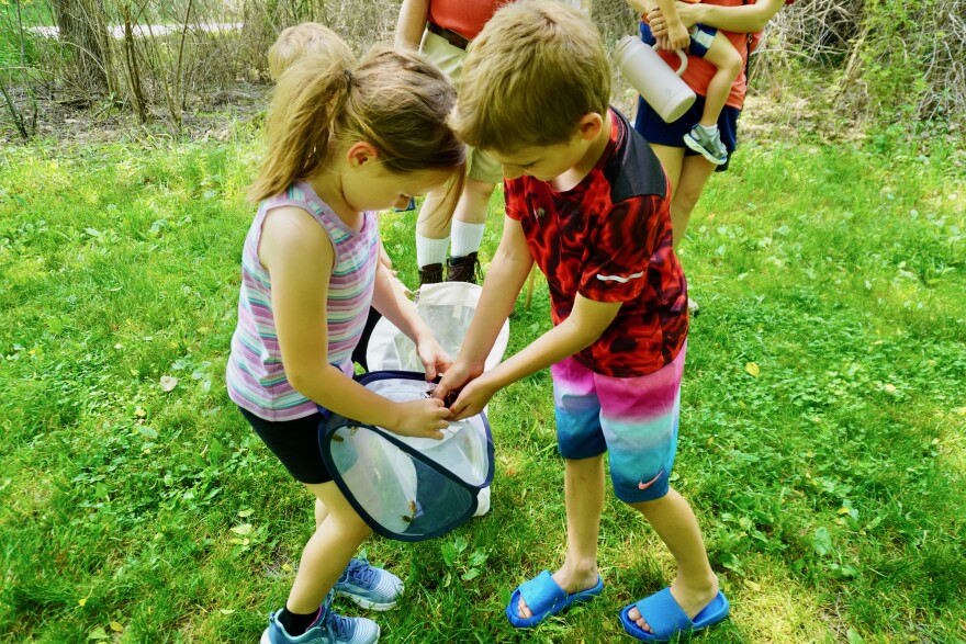 A girl in a ponytail stands holding a netted cylinder on her knees while a boy in a red shirt holds cicadas in his hands against the trap.
