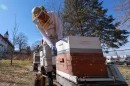 Beekeeper Mark Welsch checks on his bee hives in a community garden in Omaha, Nebraska, on March 9, 2026. Welsch lost nine of his hives last year during a widespread honeybee die-off.