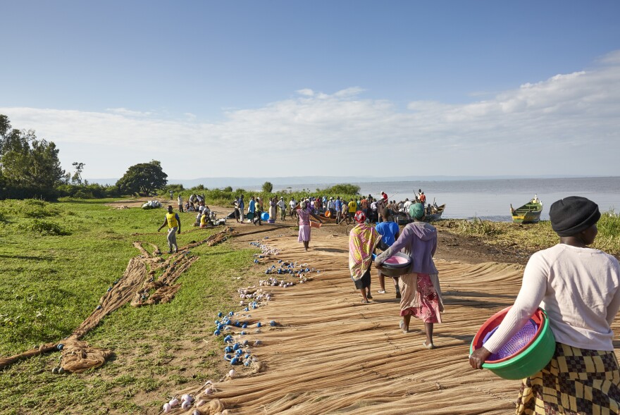 Every morning, women of Nduru Beach head to the shore of Lake Victoria to purchase fish from boats that have been out most of the night.