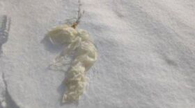 General Staff of the Armed Forces of Ukraine