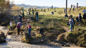 Volunteers plant native vegetation along the banks of Battle Creek at the Bear River Massacre site in Preston, Idaho.