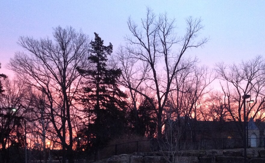 Color-filled winter sky filters through trees on the KU campus. (Photo by J. Schafer)  