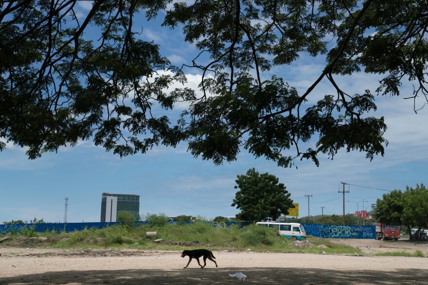 A dog walks across the dusty parking lot where Linda Tule holds her village court in Port Moresby.