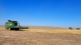 Ruben Richardson drives his 16-row combine during harvest season in Yuma, Colorado