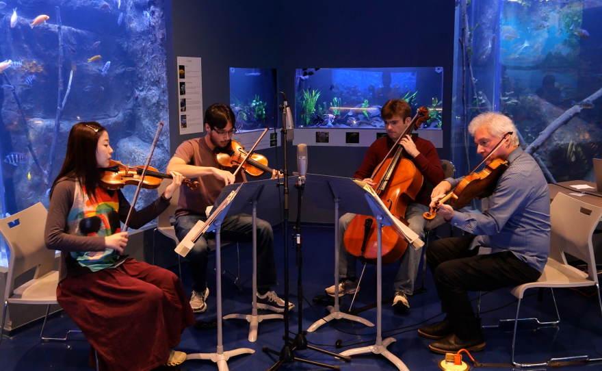 Ed Gazouleas on viola, Miles Huang Yixiang Wang on violin, and Alexander Davis-Pegis on cello.