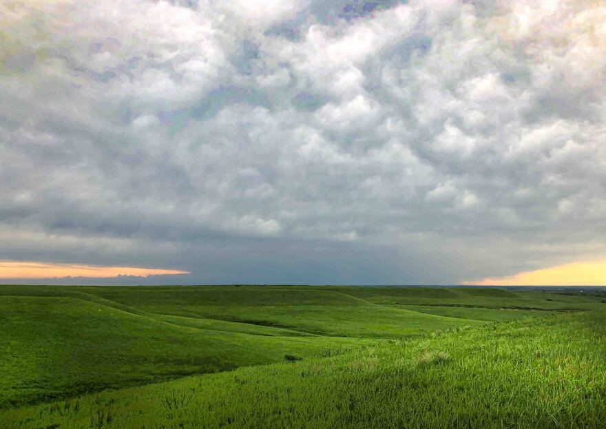 Intact grasslands, such as this one near Manhattan where Kansas State University scientists conduct research, are disappearing. Woodland and shrubland are replacing them.