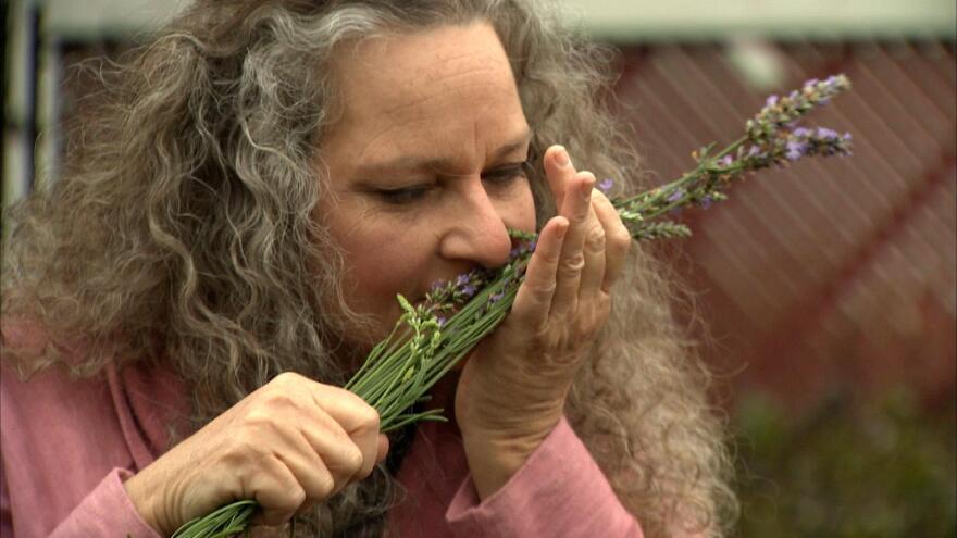 shelly_smelling_lavender001.jpg
