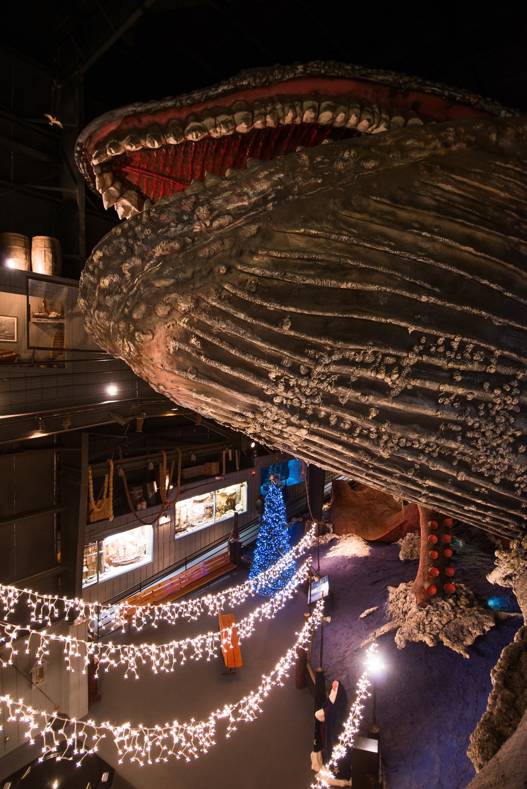 A 200 foot whale, a giant carousel What you'll find at The House on