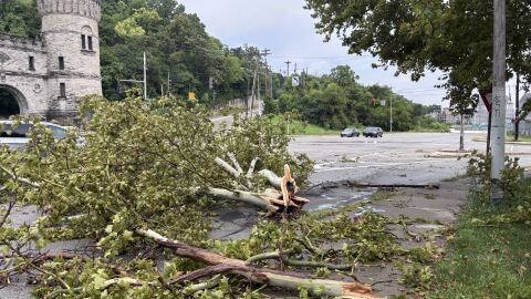 A downed half of a tree at Gilbert Ave and Elsinore blocks cars after multiple tornado warnings in the area on Aug. 11, 2026.