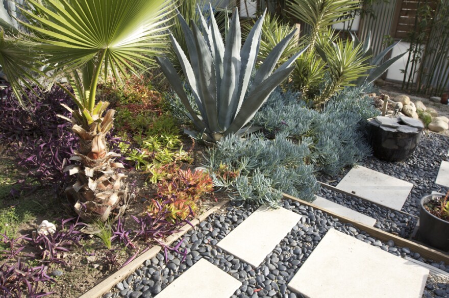 Drought Tolerant Landscape Design Temple City, CA