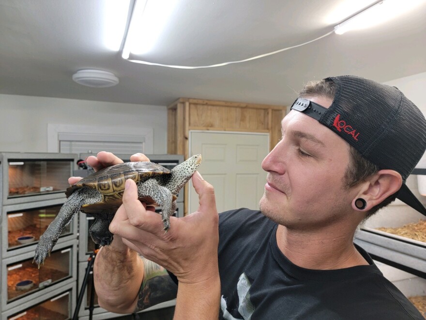 Will Nace holds one of Daniel Parker’s diamondback terrapins, Sweetie. Parker advocates for captive, commercial breeding of the turtles, owns four terrapins under an educational license. (Photo courtesy of Daniel Parker)