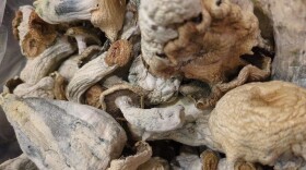 A pile of dried, brown mushrooms.