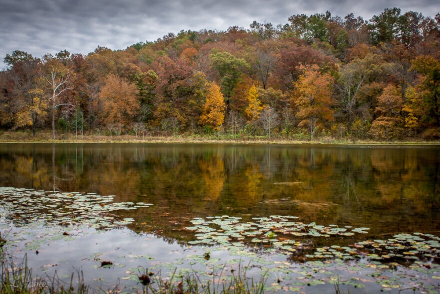 McCormack Lake in the Mark Twain National Forest. Nearly 100 Missouri school districts contain parts of the federal land but can't collect property taxes on it.