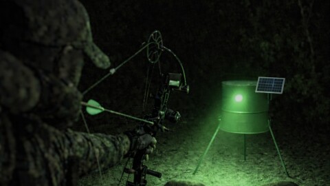 Visual example of night time hog hunting