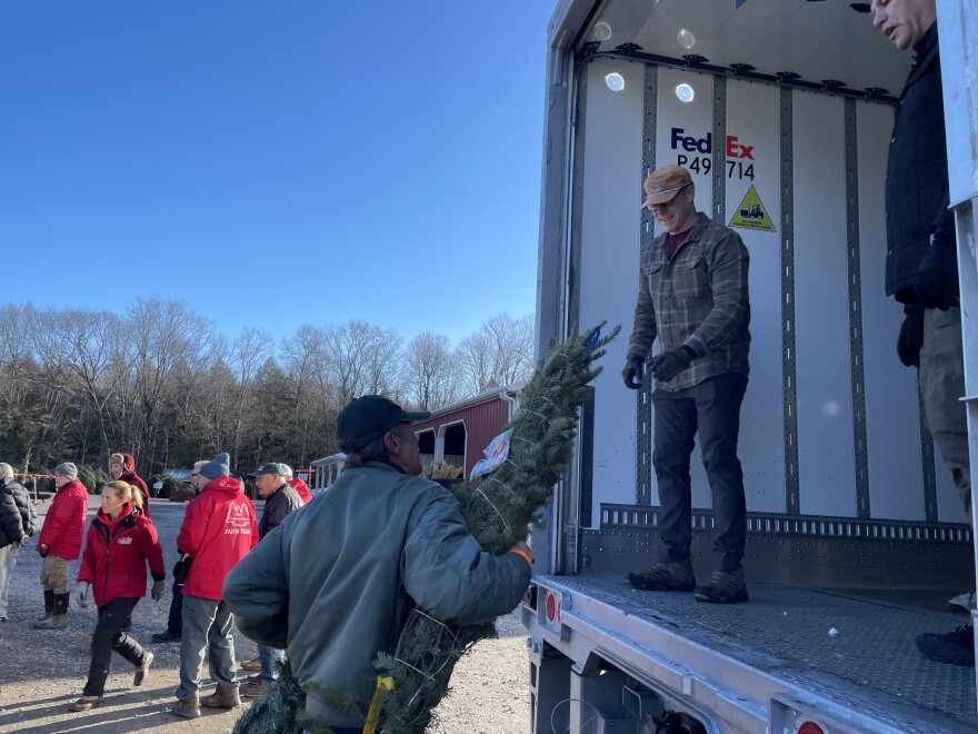 Volunteers loading trees on to the FedEx truck at Ellms Tree Farm