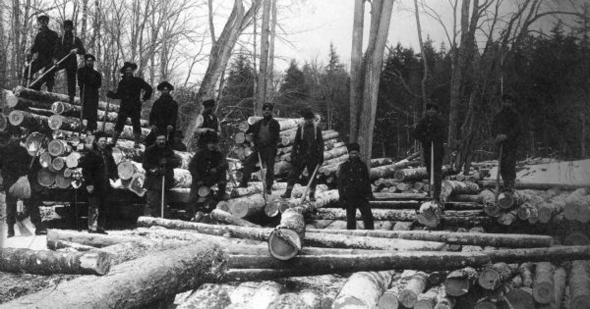 Built by timber: How logging shaped northern Wisconsin’s Indigenous nations