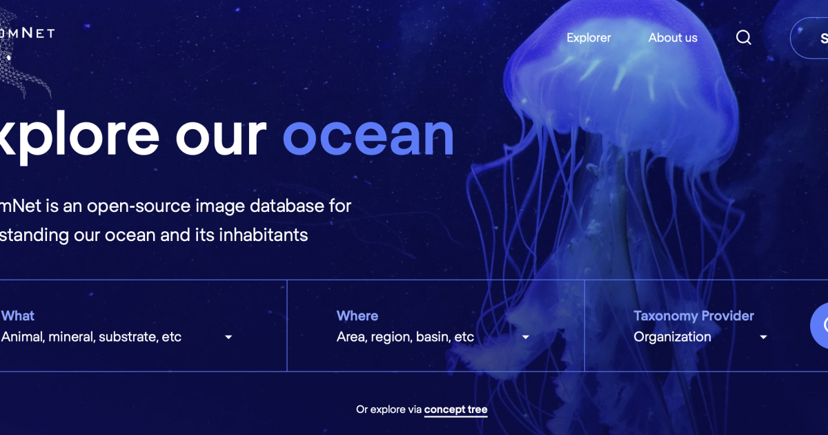 Central Coast researchers use artificial intelligence for ocean exploration