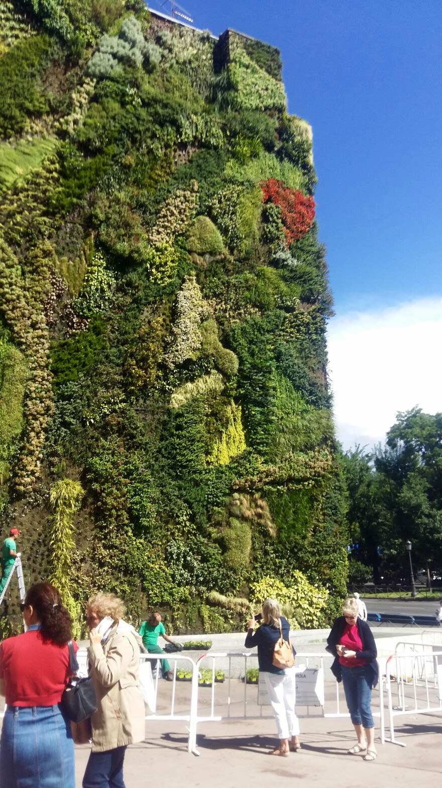 Tourists snap photos of a vertical garden outside the CaixaForum, an arts foundation in Madrid.