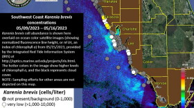 Map of red tide
