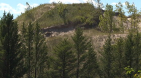 A sand dune at Indiana Dunes National Park. (Tyler Lake/WTIU)