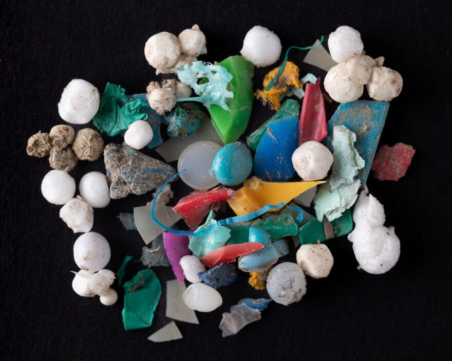  A photograph of microplastics collected along the Great Miami River by Benjamin Montague. 