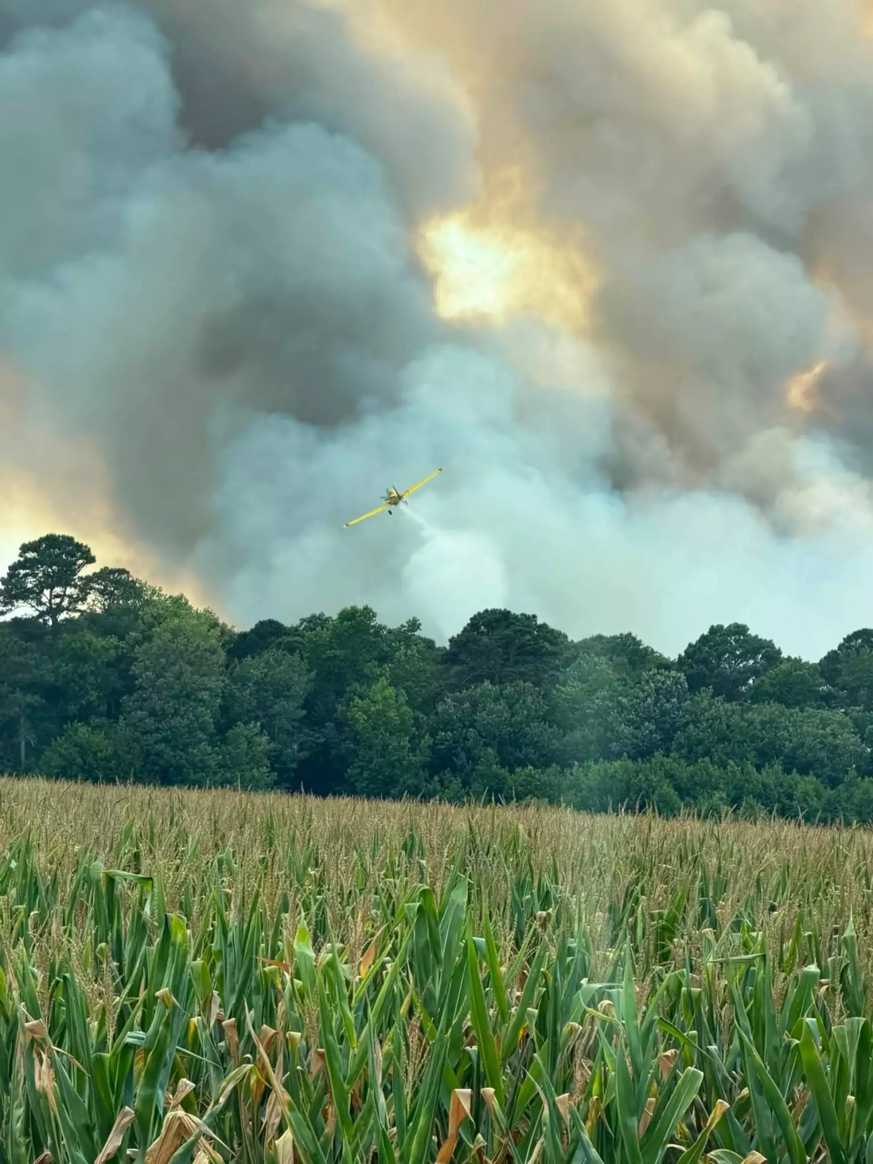 Three separate wildfires impacting eastern North Carolina