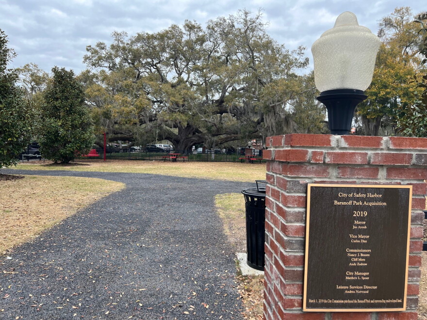 The Baranoff Oak, and the park it sits on, were named after Salem Baranoff, a big Safety Harbor backer and the man who donated the land for the town's library.