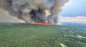 An aerial view of the McDonald Fire burning through black spruce near Salcha on Thursday, June 20, 2024. The blaze has since grown to more than 54,000 acres.