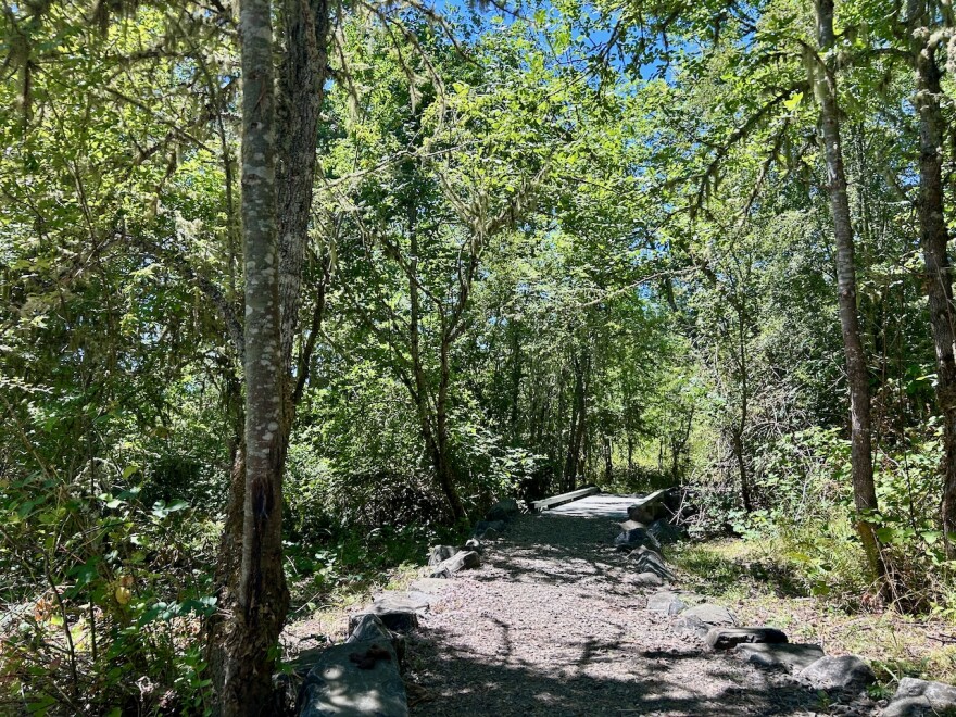A trail winds through a wooded area.