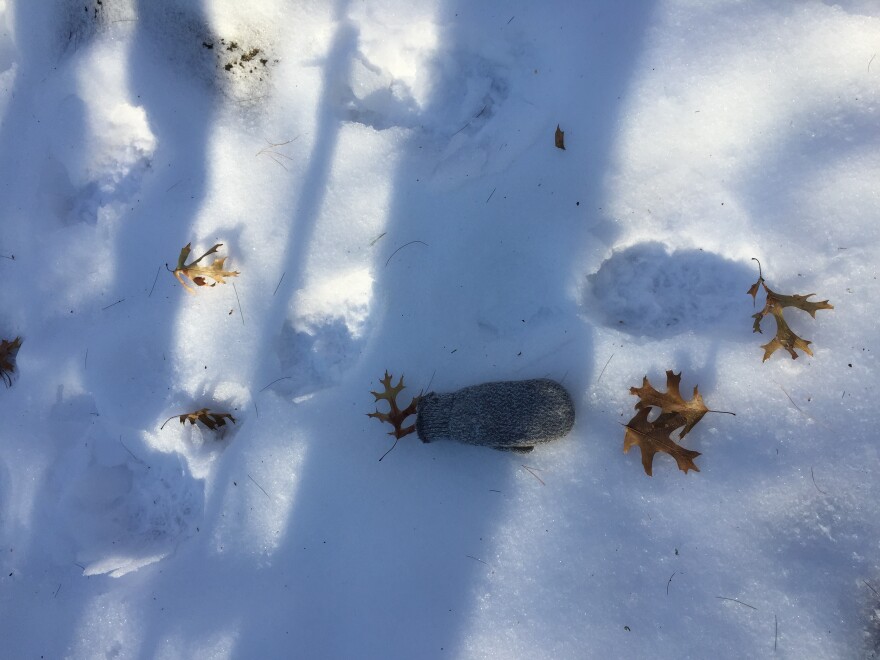 bear_print_2.jpg