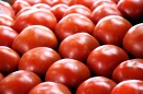 Tomatoes for sale at LaValley Farms in Hooksett, NH on June 25, 2026.