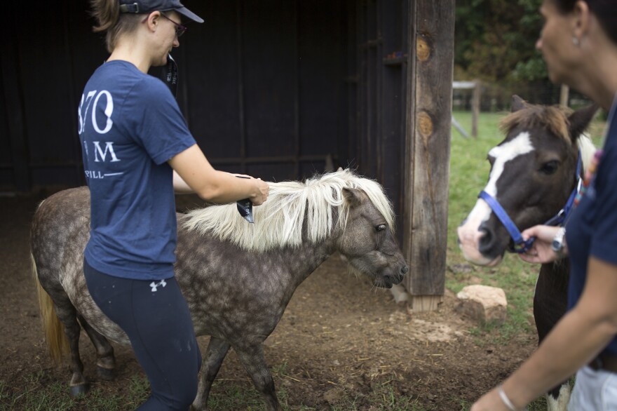 Breindel (left) puts an identification tag in a horse's mane as McKee leads up another horse in advance of the storm. The staff has microchipped all of the animals, given them identification tags, ordered a two-week supply of food and secured all of the shelters on the property.