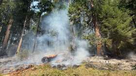 Smoke and smoldering in the Umpqua National Forest where the Castle Fire has grown to more than 1,700 acres.
