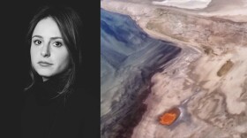 The Director of “Terminal”, Abby Ellis.