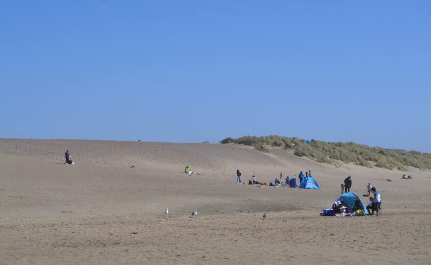 The dune off Judah that the city is trying to revegetate (left) vs. a dune full of European beach grass (right)