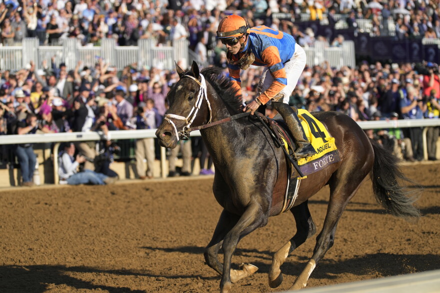 FILE - Irad Ortiz Jr. rides Forte to victory during the Breeders' Cup Juvenile race at Keenelend Race Course, Friday, Nov. 4, 2022, in Lexington, Ky. Todd Pletcher-trained colt Forte and Brad Cox's filly Wet Paint are the morning line favorites respectively for the 149th Kentucky Derby and Kentucky Oaks at Churchill Downs. Forte, the 2-year-old champion whose 190 points led the Derby qualifying trail, drew the No. 15 post at 3-1 odds on Monday, May 1, 2023, for the $3 million premier race for 3-year-olds. (AP Photo/Jeff Roberson, File)