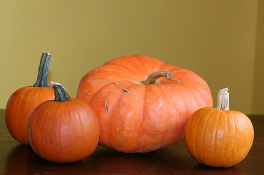 Pumpkin11.jpg