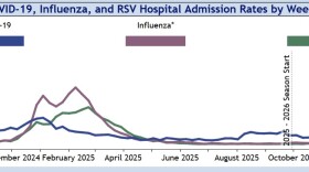 A line graph showing RSV, flu and COVID cases since December 2024. COVID is represented by a blue line, while influenza has a pink line and RSV's line is green. Influenza has seen a sharp increase in hospitalizations due to flu in recent weeks.