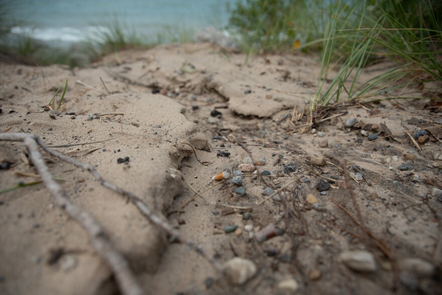 A cigarette butt in an area that directly washes into Lake Michigan.