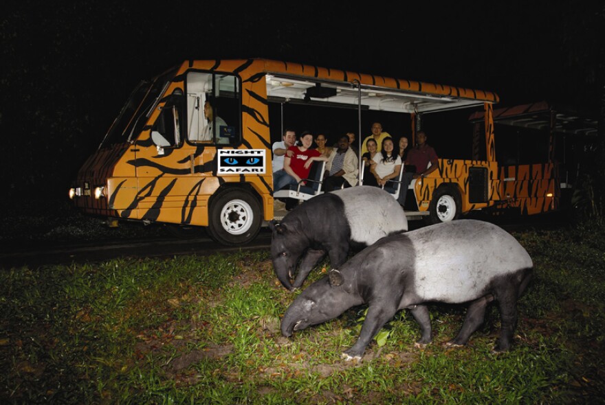 The preliminary concept of a “night zoo” to see nocturnal animals would allow the St. Louis Zoo and Grant’s Farm to reach more people with conservation messages and provide opportunities for people to connect with nature. 