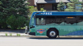 Under current rules, only service animals or pets in carriers are allowed on buses.