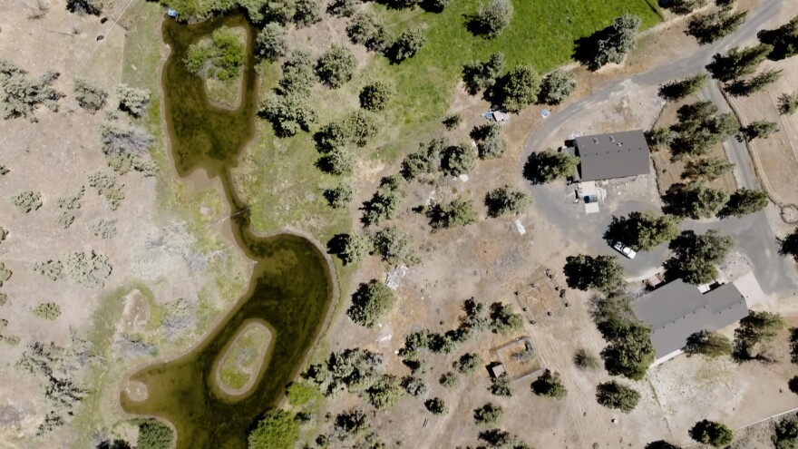 After the Central Oregon Irrigation District delivered water to landowners near Redmond, Oregon, in July 2025, what’s left pooled in a silty pond where it eventually drained away or evaporated. The district said it has 24 ponds that catch water at the ends of its system.