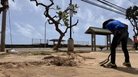 Teresa Salva, 68, Wai’anae resident, helps clear sand from Hurricane Lowell's high surf along Farrington Highway. She and other residents say they've never seen the water go over to this part of town.