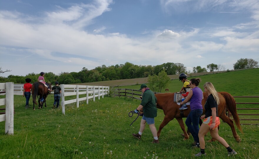 Miracles in Motion Therapeutic Riding and Hippotherapy in Eastern Iowa