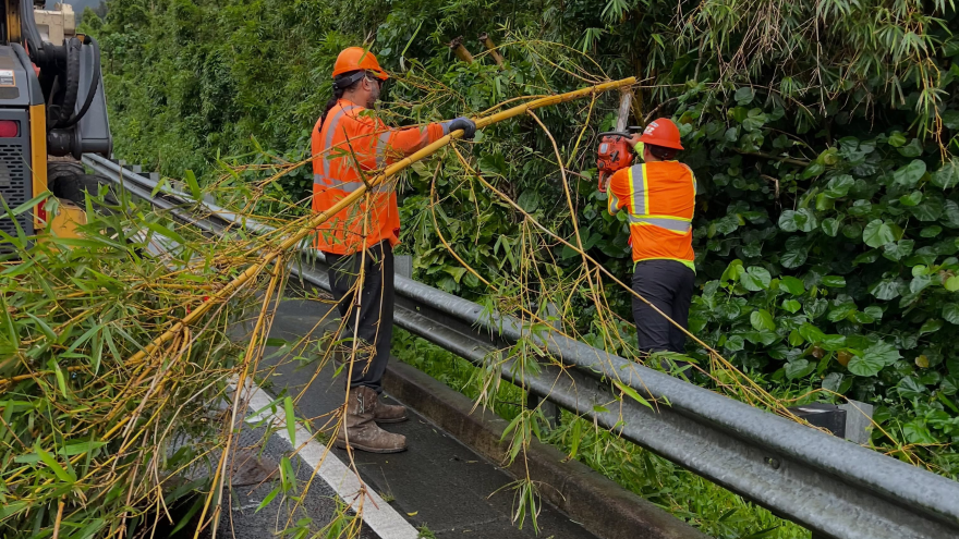 Honolulu crew clearing downed and leaning trees on Pali Highway Kailua-bound Monday morning. (Sept. 7, 2026)