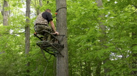 An Indiana Department of Natural Resources employee demonstrates how to safely set up a climbing tree stand.