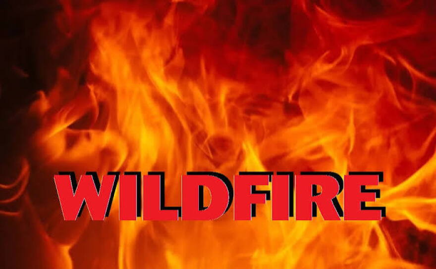 wildfire