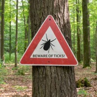 A sign warning hikers to be cautious and keep an eye out for ticks.