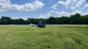 A pasture with native grasses in Northeastern Oklahoma.