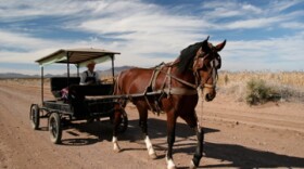 mennonite1